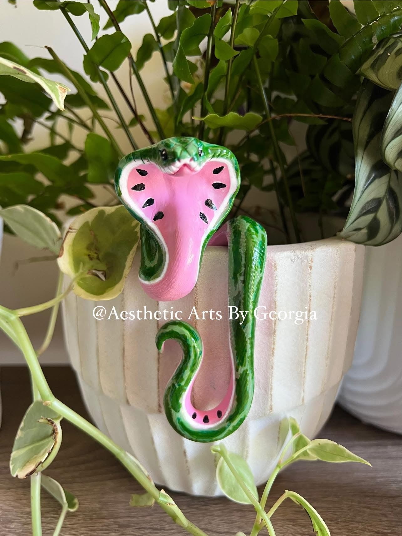 Watermelon Cobra