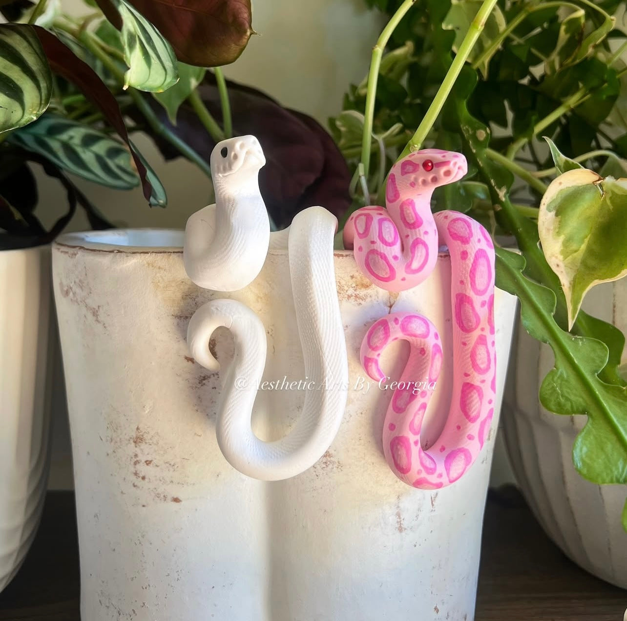 Ball Python (multiple colour options)