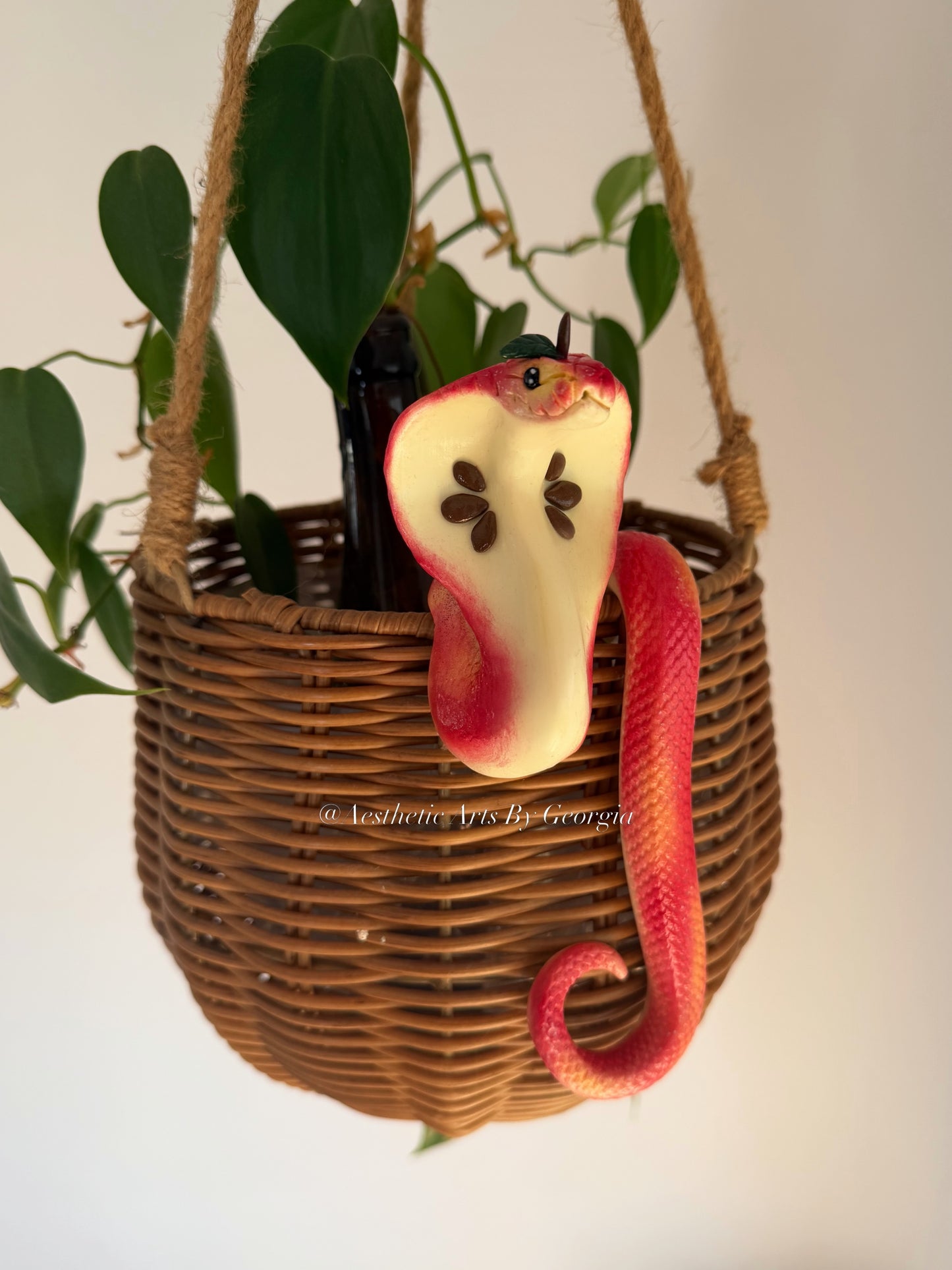 Cobra, Apple