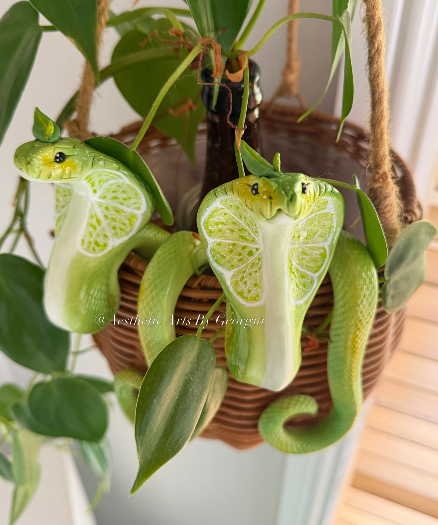 Cobra, lime