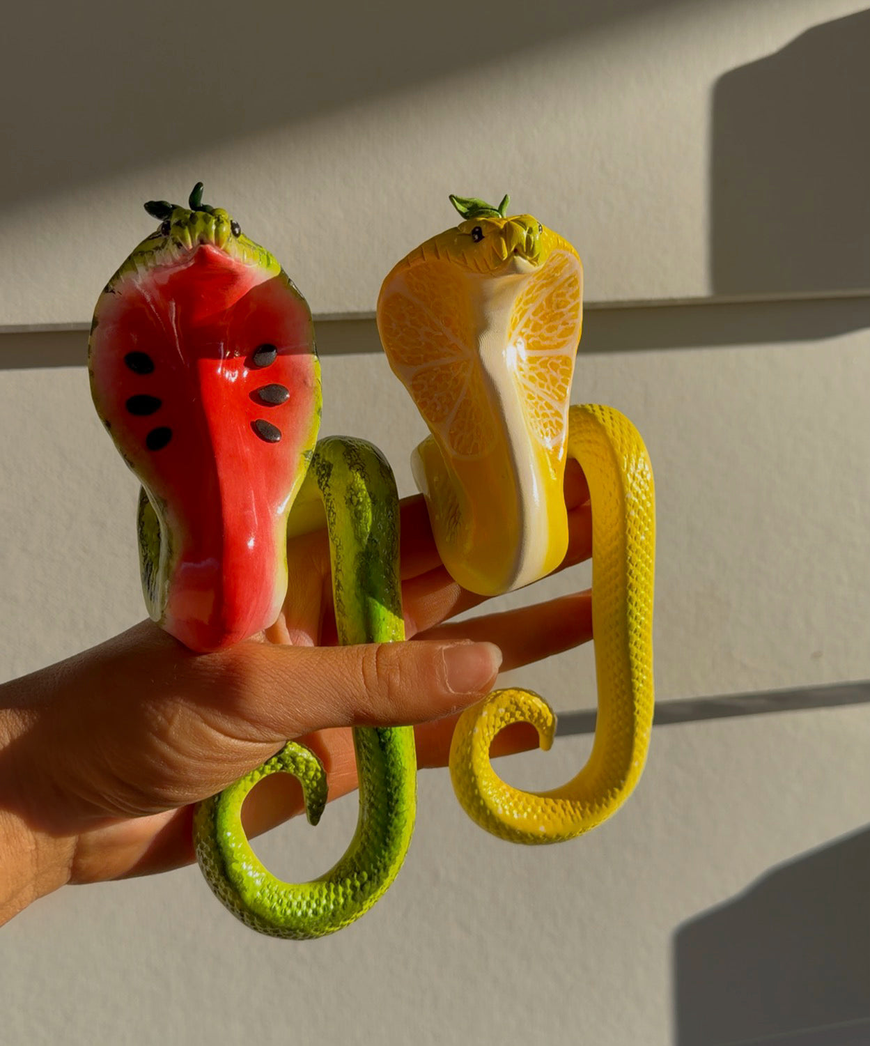 Cobra, watermelon