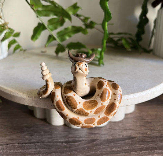 Yeehaw boy Shelf design