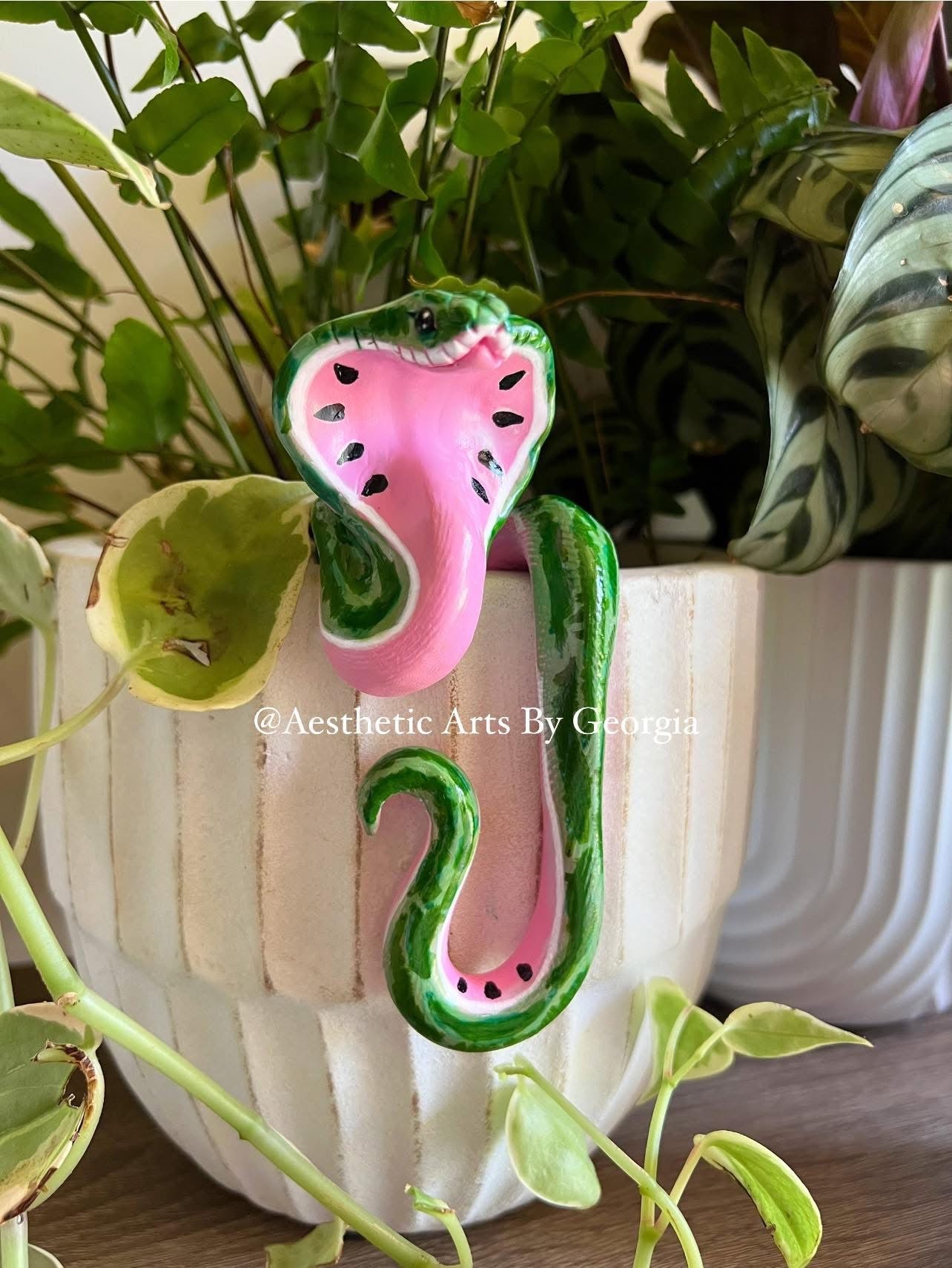 Watermelon Cobra