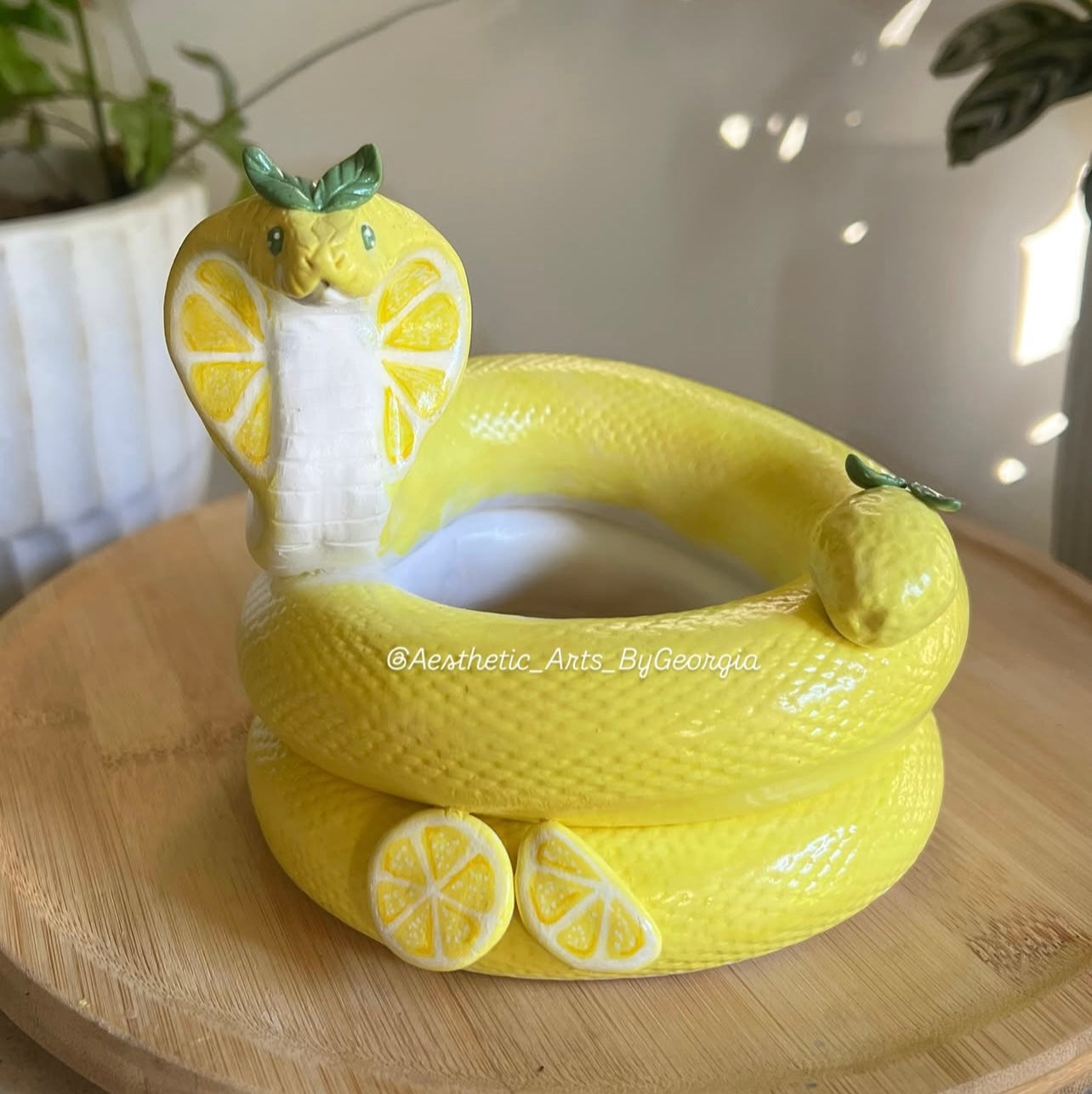 Planter, Lemon Cobra