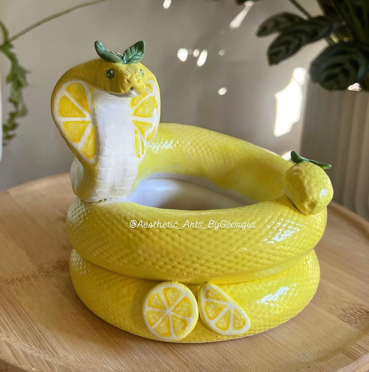 Planter, Lemon Cobra