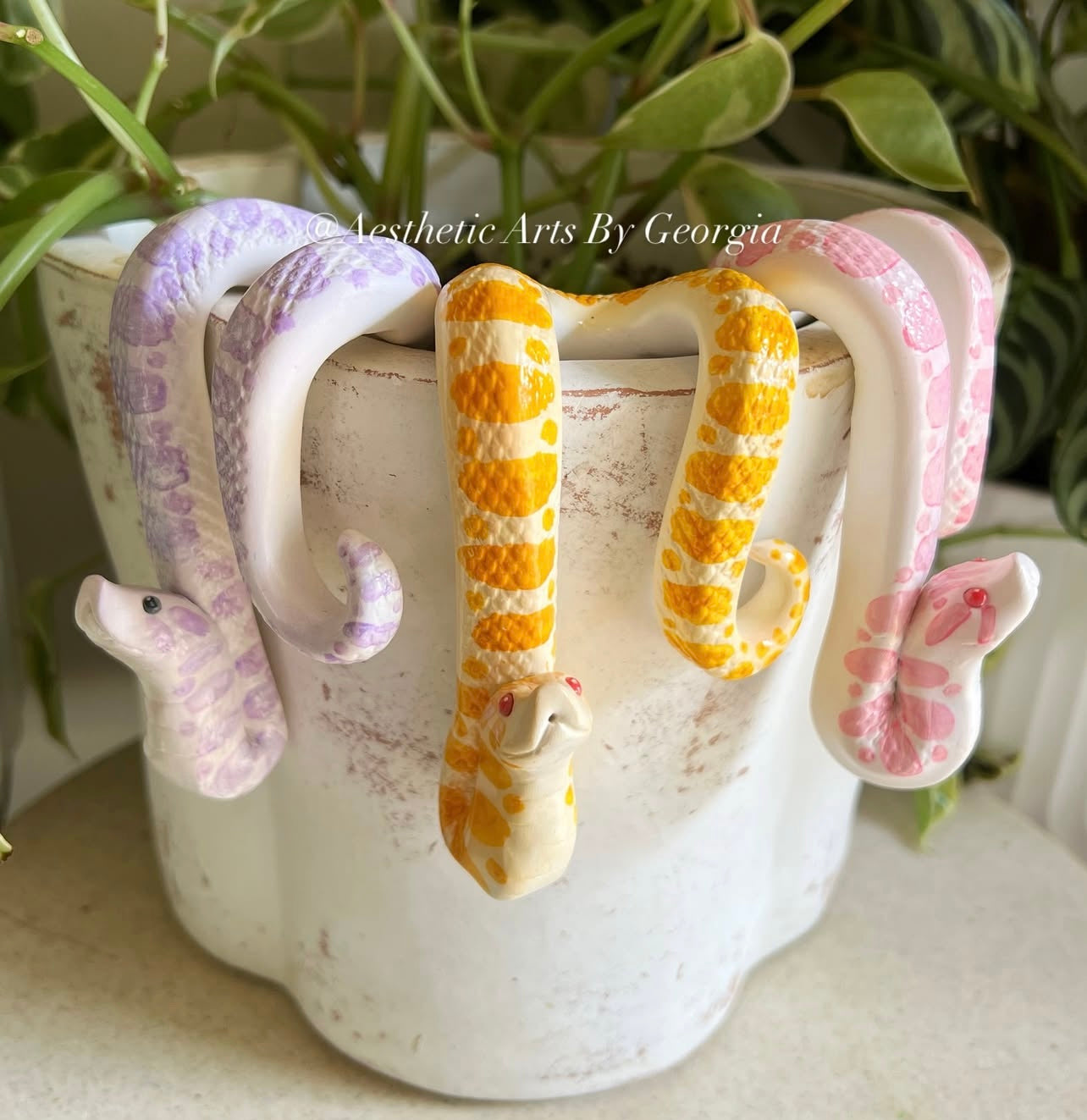 Hognose Plant Noodles