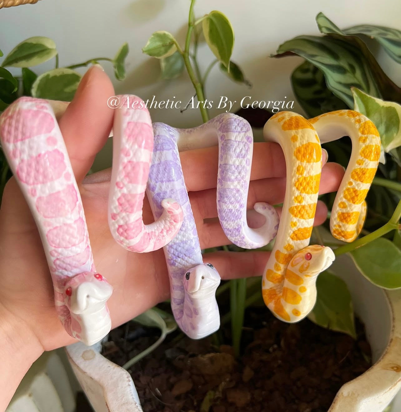 Hognose Plant Noodles