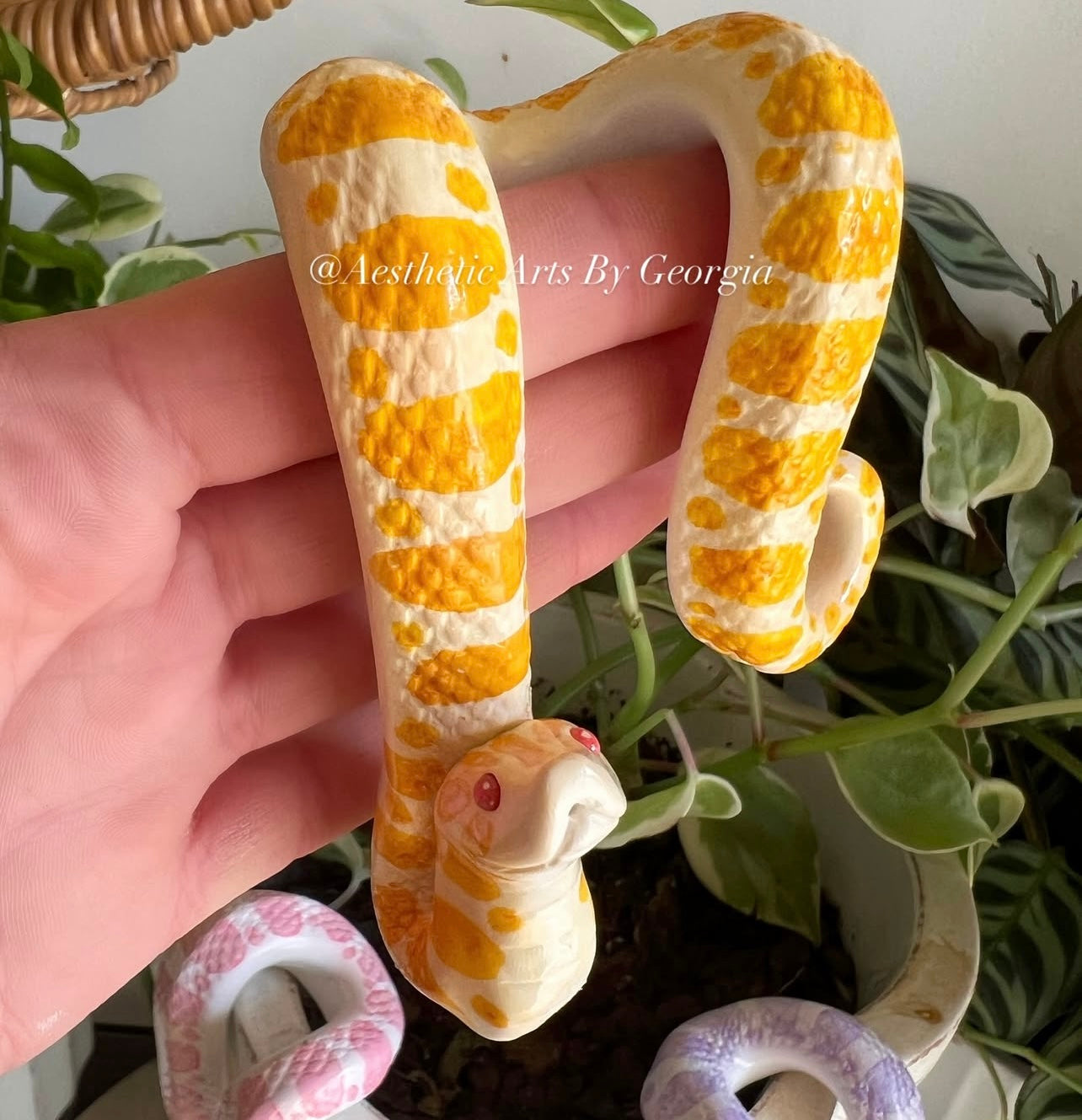 Hognose Plant Noodles