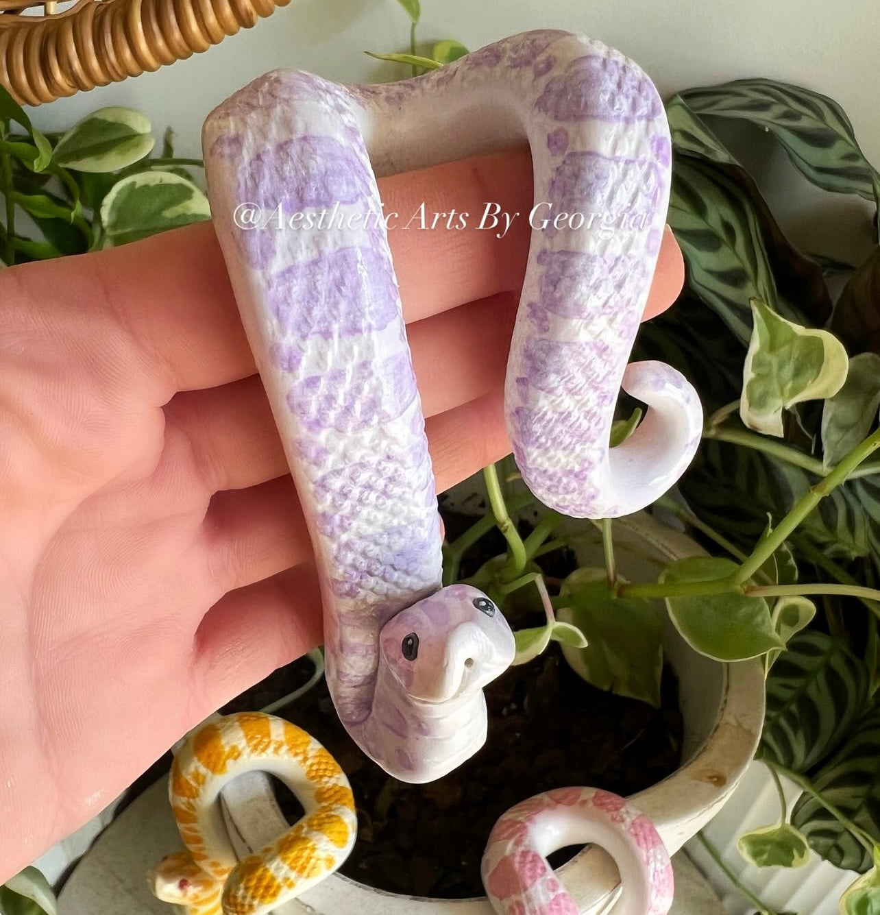 Hognose Plant Noodles