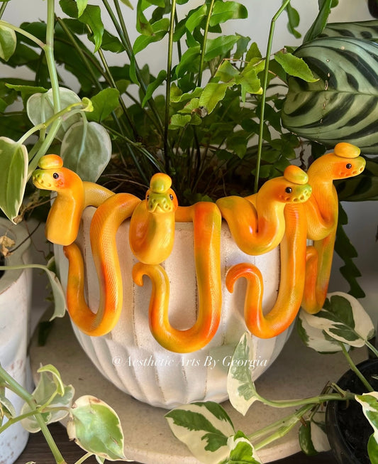 Mango noodle
