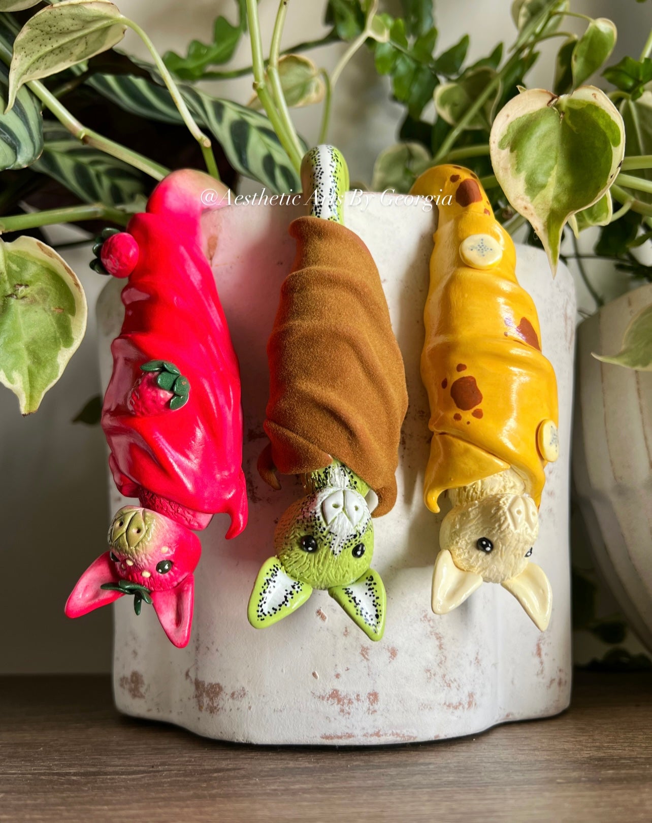 Bat Buddie, Kiwi Fruit Bat