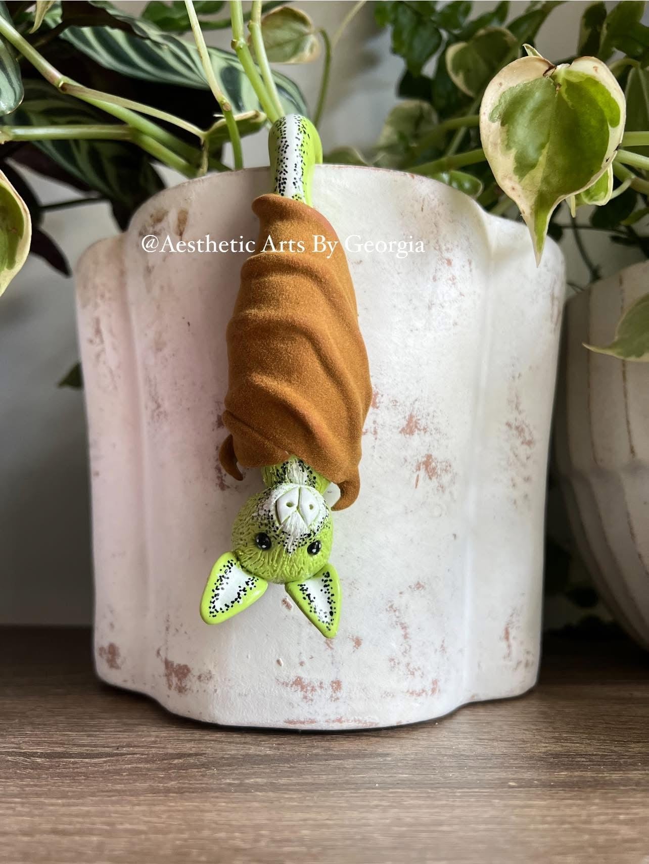 Bat Buddie, Kiwi Fruit Bat