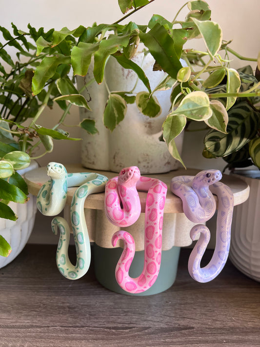 Ball Python shelf buddie (multiple colour options)