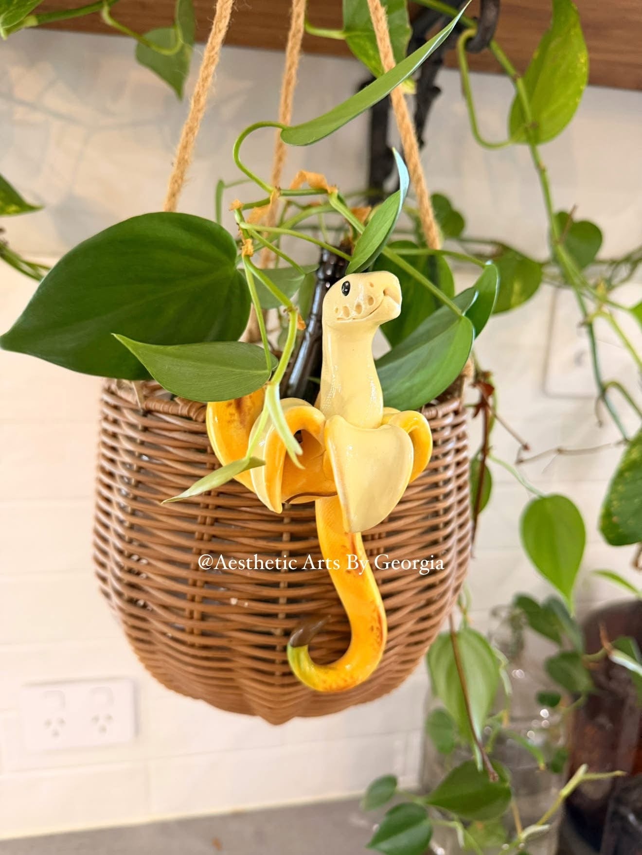 Banana boy
