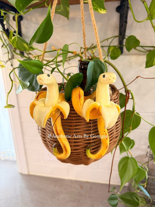Banana boy