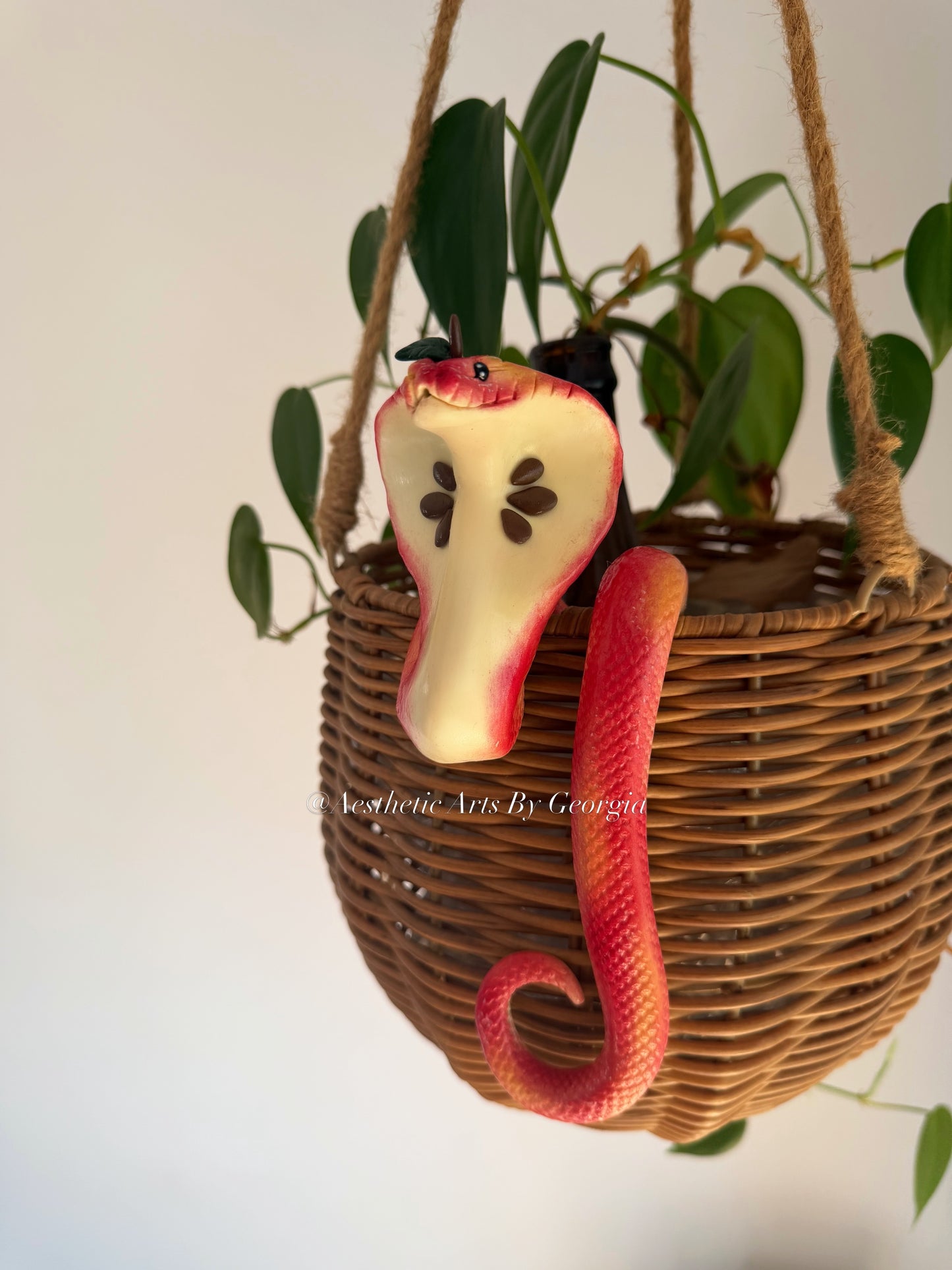 Cobra, Apple
