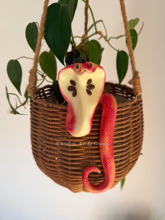 Cobra, Apple