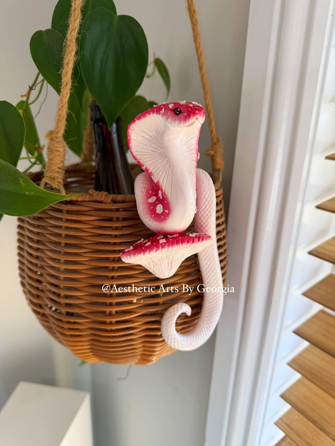 Cobra, Mushroom