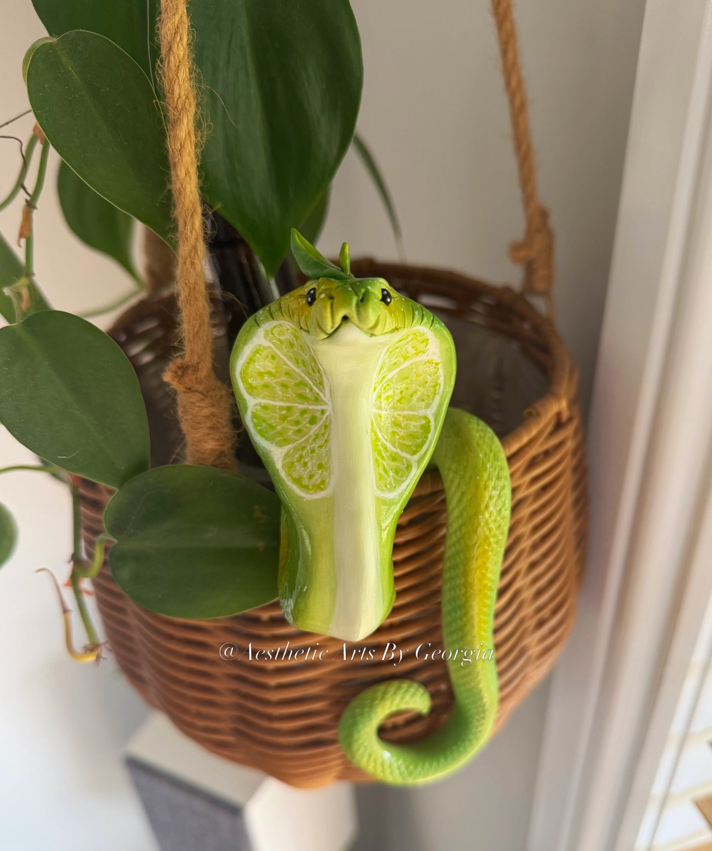 Cobra, lime