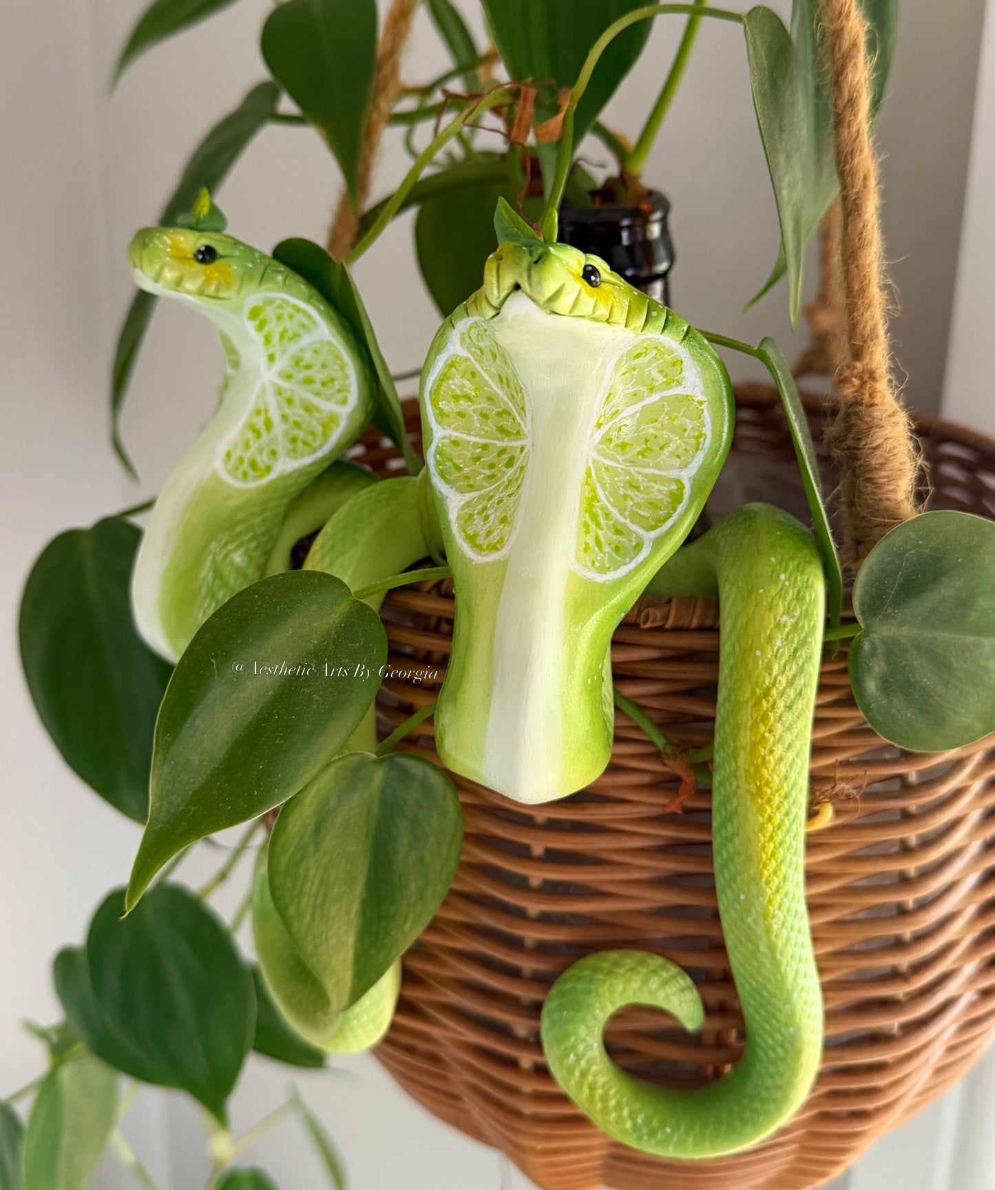 Cobra, lime