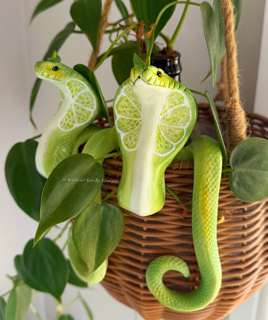 Cobra, lime