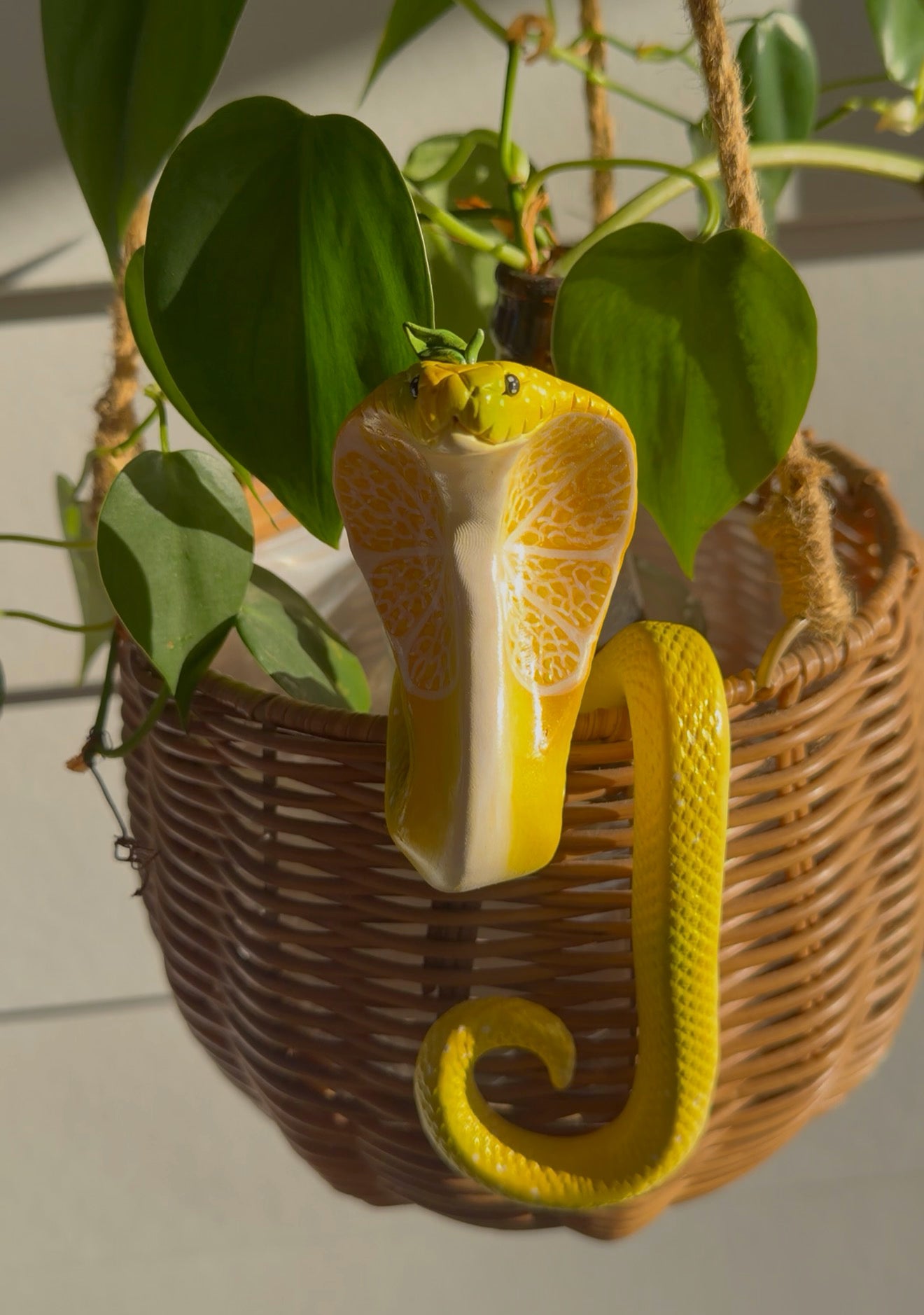 Lemon Cobra