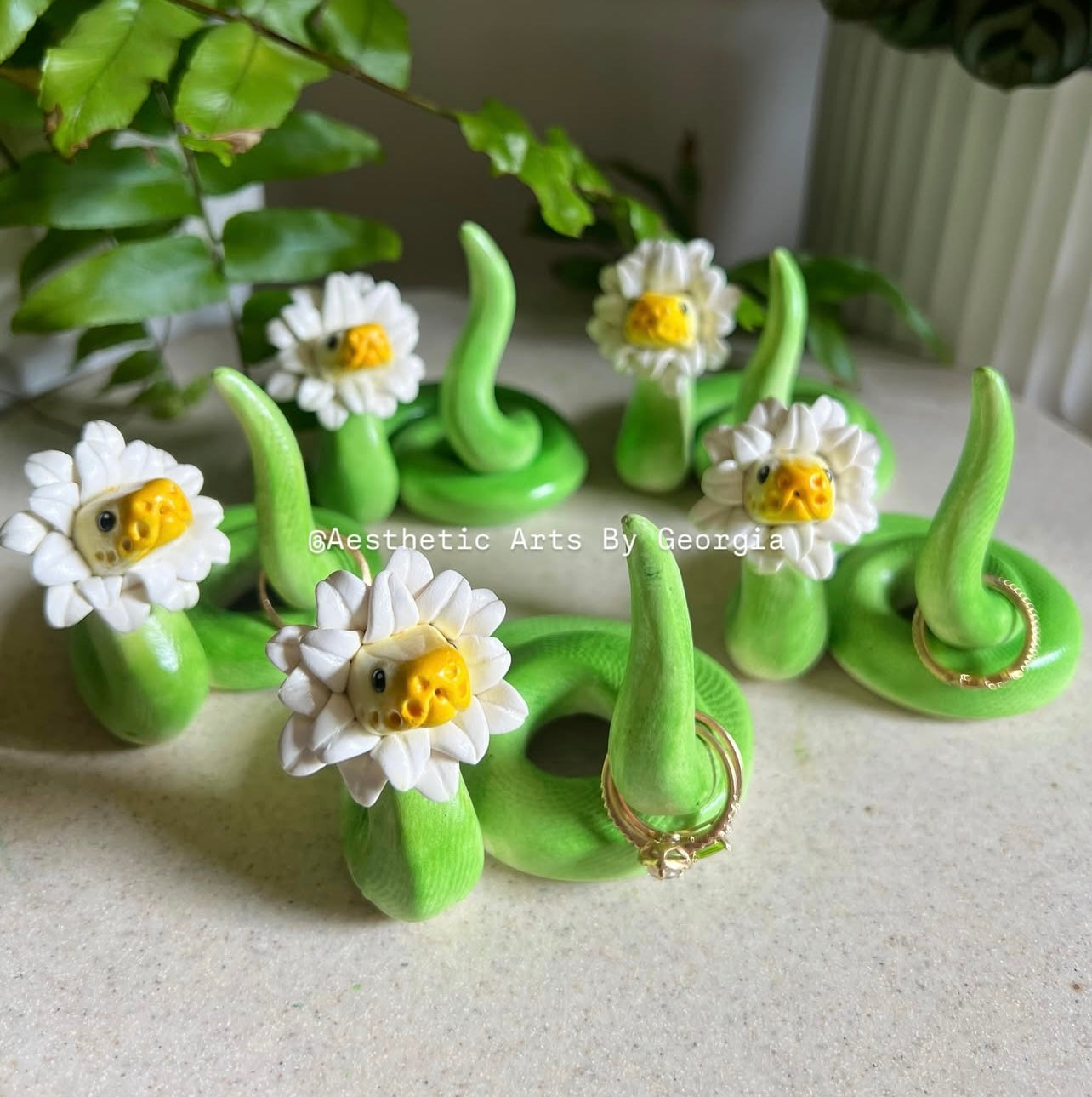 Daisy Noodle, Ring Holder
