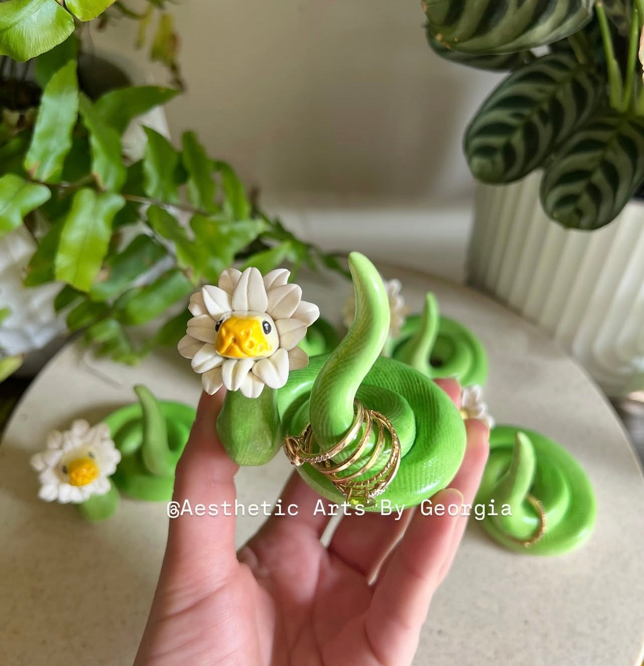 Daisy Noodle, Ring Holder