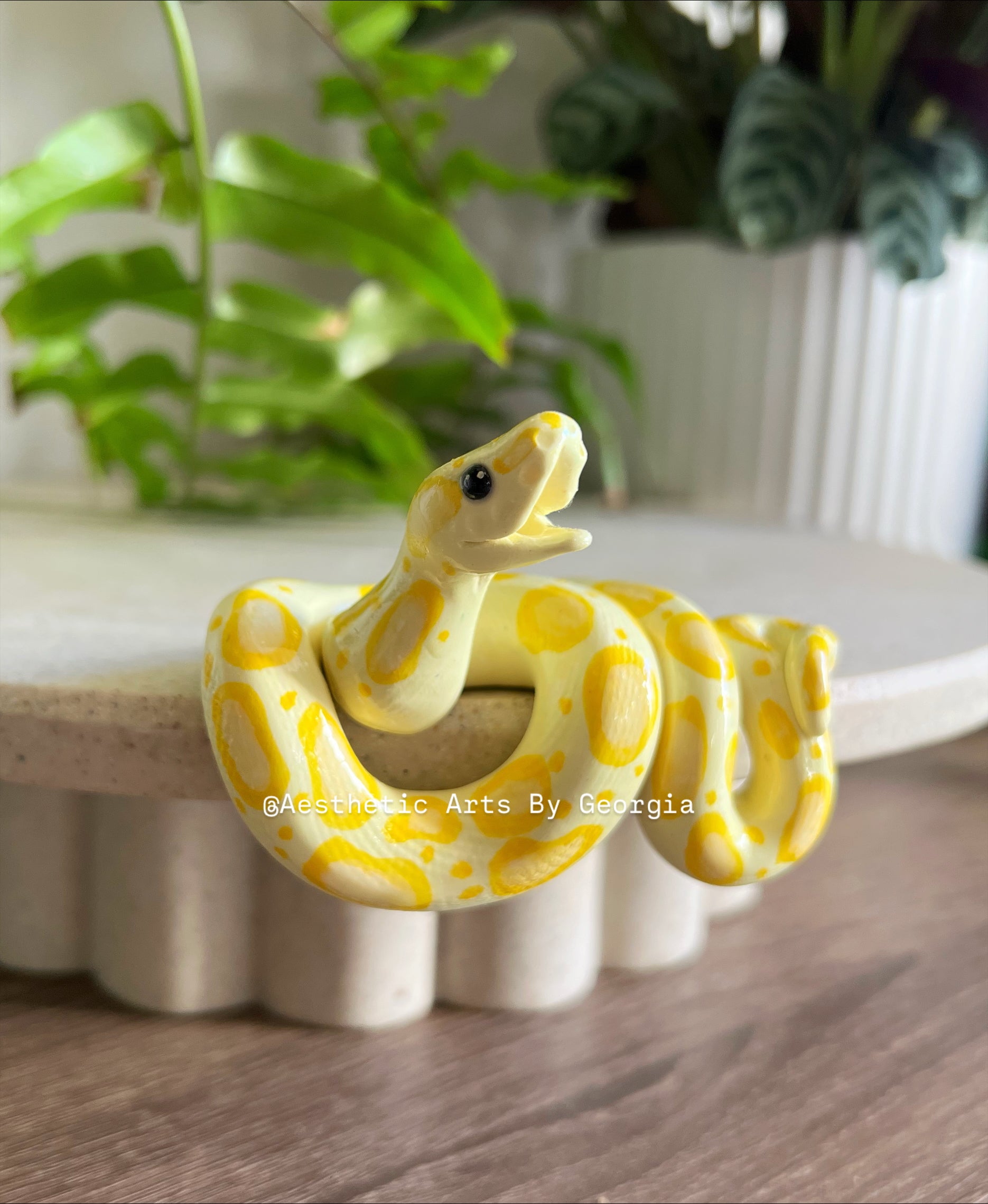 Yellow Ball Python, shelf – Aesthetic Arts by Georgia