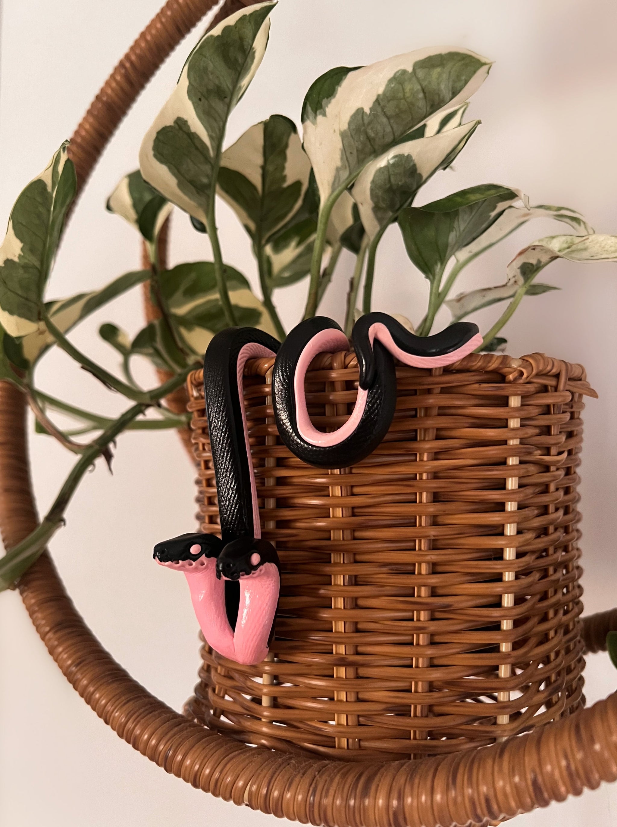 Python Twins – Aesthetic Arts by Georgia